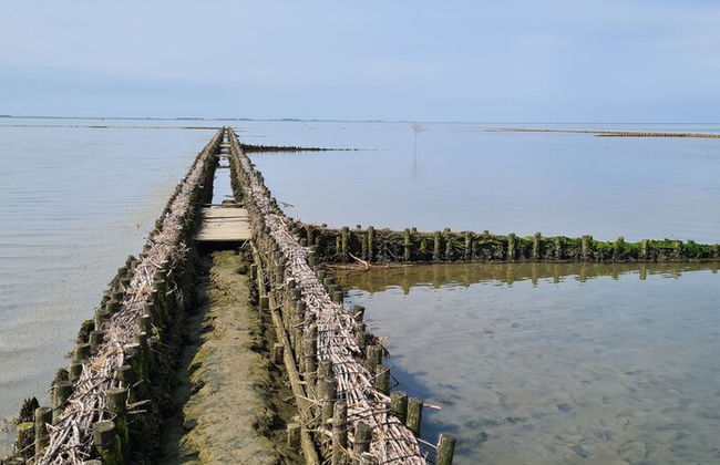 Deichhus Nordseeliebe - Foto 61