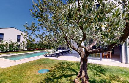 Villa Silvia - Foto 11