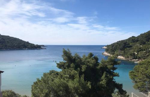 Apartments Pitarević - Photo 20