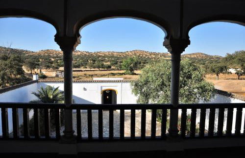 La Matilla - Foto 12