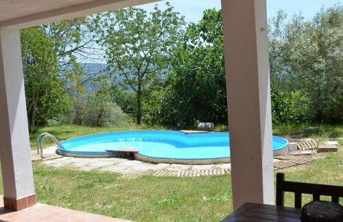 Il colle degli olivi - Foto 20