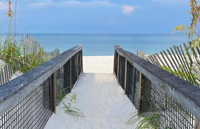 The Sea Life - Foto 72