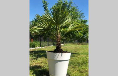 Cottage l'Echappée Belle - Foto 11