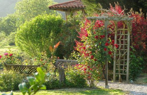 El Pedrueco turismo rural - Foto 58