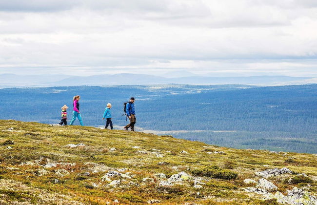 8 Person Holiday Home in Lofsdalen - Foto 13