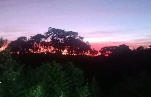 Kombi Home - Photo 24