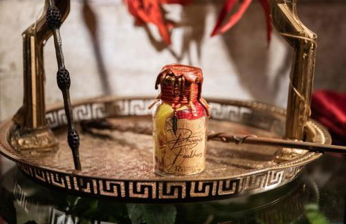 Sorcier magique - immersive cinema 4k laser & Air-cond & Parking - Foto 15