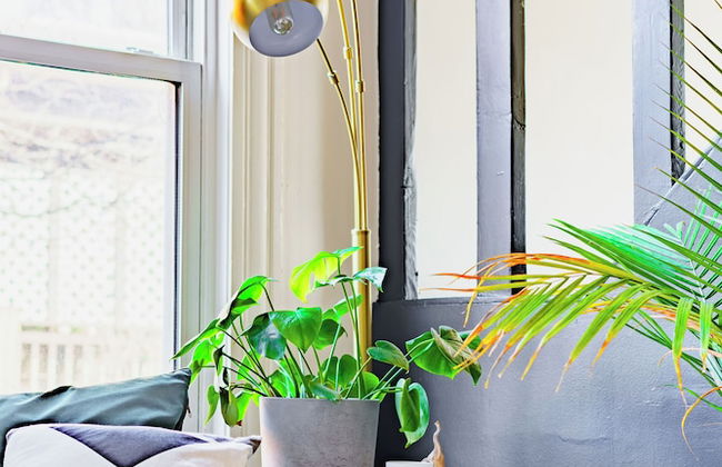 Jungle House Luxury Stays - Downtown Columbus & Short North - Foto 40