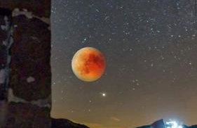 Apartmani Ivanković - Foto 53