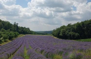 Alloggio La Perla, quiete ed eleganza con vista - Foto 39