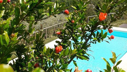 Villa Francesca - Foto 2