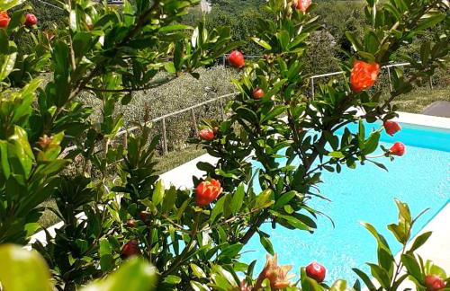 Villa Francesca - Foto 2