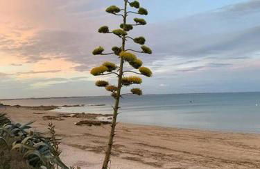 Cocon Neuf - 6 à 8 pers 3 chb proche plage, port, centre ville - Foto 22