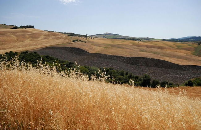 Agriturismo Mannaioni - Foto 29