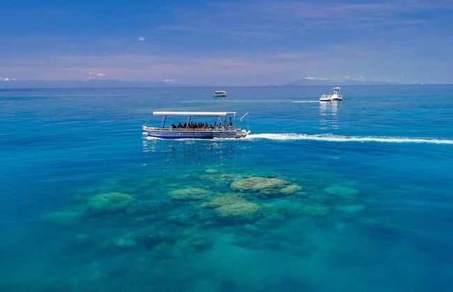 Cruzeiro Ocean Spirit Michaelmas Cay - Foto 5