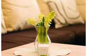 Color 24 Apartament V - Foto 9