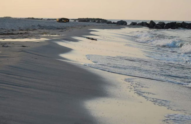 Comfortable Holiday Home in Nature - Foto 10