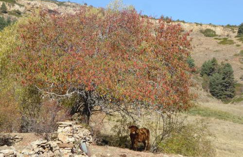 Casa rural La Sabina - Foto 38