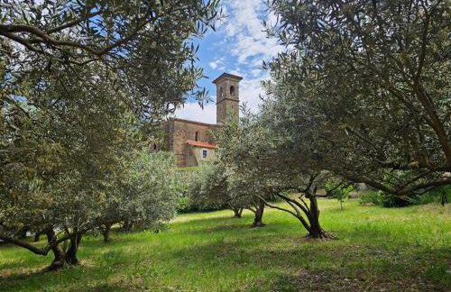 Sourire du Soleil - Foto 7