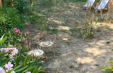 Grande maison familiale Leucate Village - Photo 13