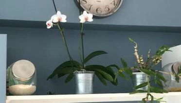 Apartment terrace - Eiffel tour vue - Foto 5