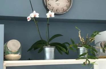 Apartment terrace - Eiffel tour vue - Foto 5