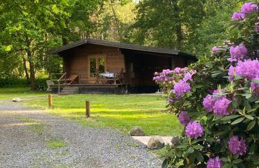 Heidegut Eschede Reitsportanlage und Feriendorf - Foto 58