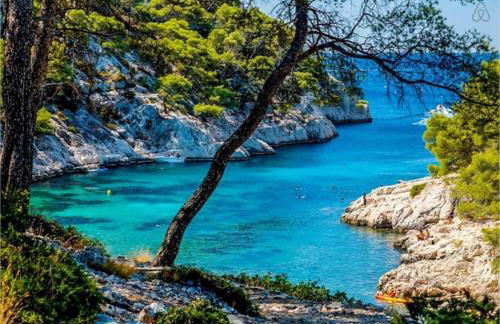 Les Palmiers - Foto 27