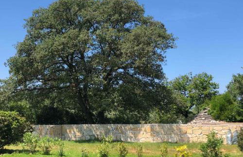 Casa La Vida - Foto 24