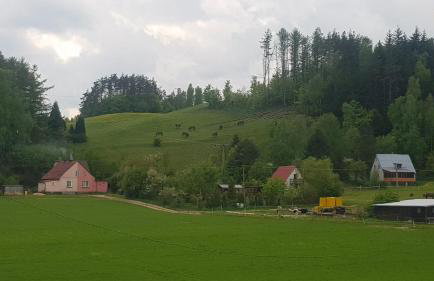 Przystanek Patulskie - Foto 48