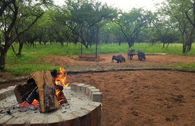 Umvangazi Rest - Enjoy a Relaxing, Rejuvenating and Peaceful Setting in the Bush - Foto 29