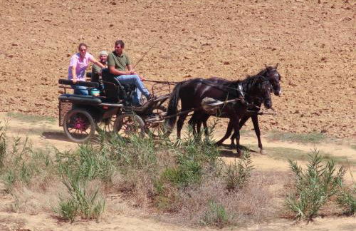 Casa do Portão Azul - Tamboril - Foto 28