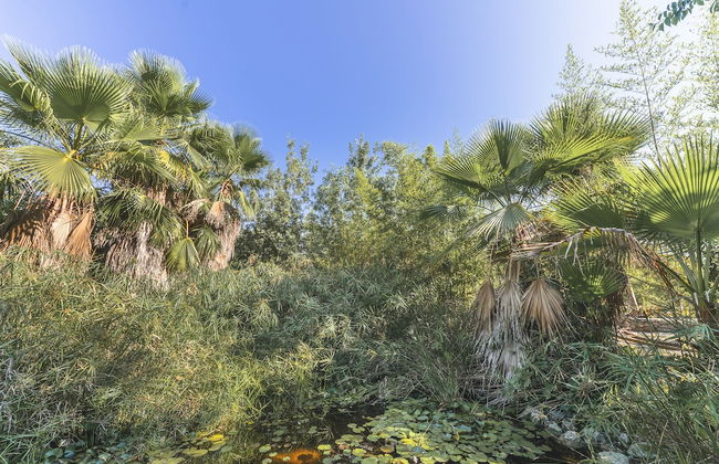 Villa Can Mir - Foto 39