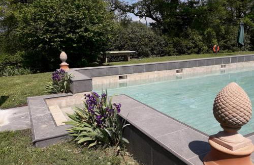 Poggio a Sieve - Foto 14