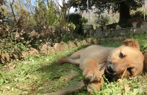 Agriturismo Cuca - Foto 57