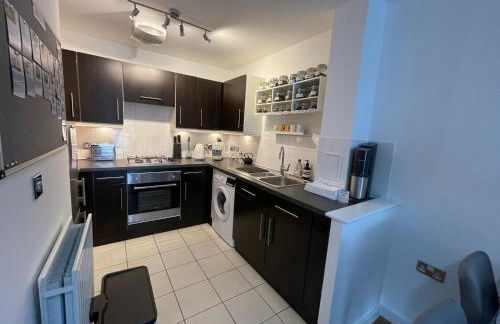 Peloton Organic Health Apartment in Angel, Old Street, Islington - Foto 36