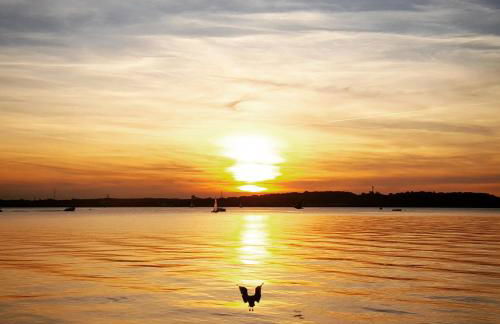 Kieler Eiderparadies - Foto 23