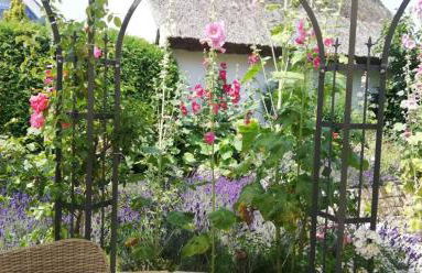 Ferienhaus Helge an der Schoritzer Wiek - Foto 19