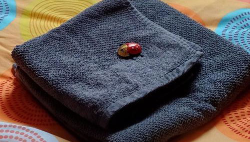 Berlin - Potsdam - Fläming - Foto 5