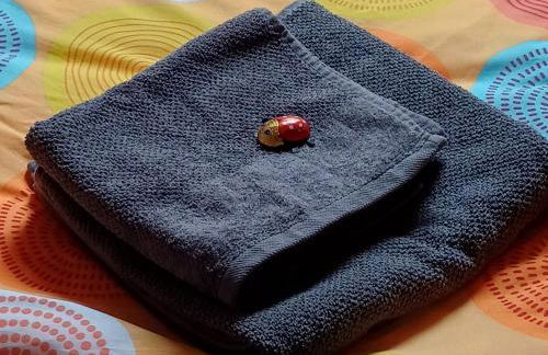 Berlin - Potsdam - Fläming - Foto 5