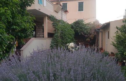 Apartment Lavanda garden - Foto 3