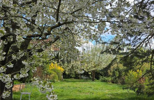 Exklusive Ferienwohnung Bad Salzschlirf - direkt am Waldrand - großer Garten kompett umzäunt - Hunde willkommen - 2 private Stellplätze - Foto 47