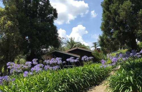 Lindo e aconchegante chalé com piscina, lareira e churrasqueira - Foto 1