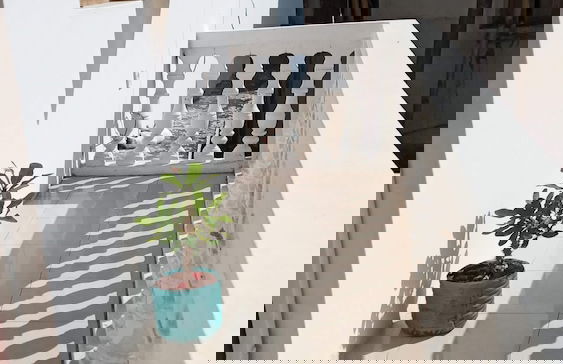 Masala Living - Photo 8