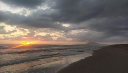 AmaNacer Oliva - Photo 3