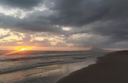 AmaNacer Oliva - Photo 3