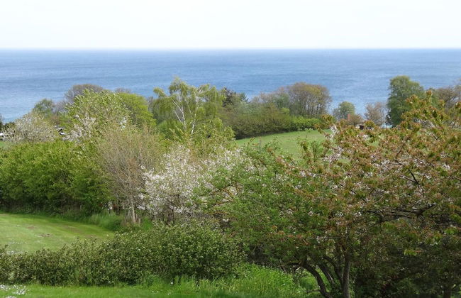 "Iikka" - 300m from the sea - Foto 15