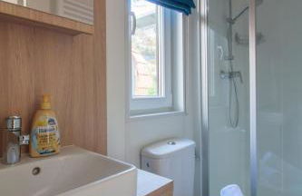 Iguana - Das Tiny Haus am Reptilienzoo Reptilium - Foto 5