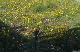 Eco Secluded apartments Zabodarski - Foto 12