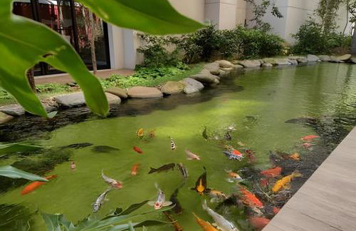 O Seu Refúgio Encantado no Brás! - Photo 53